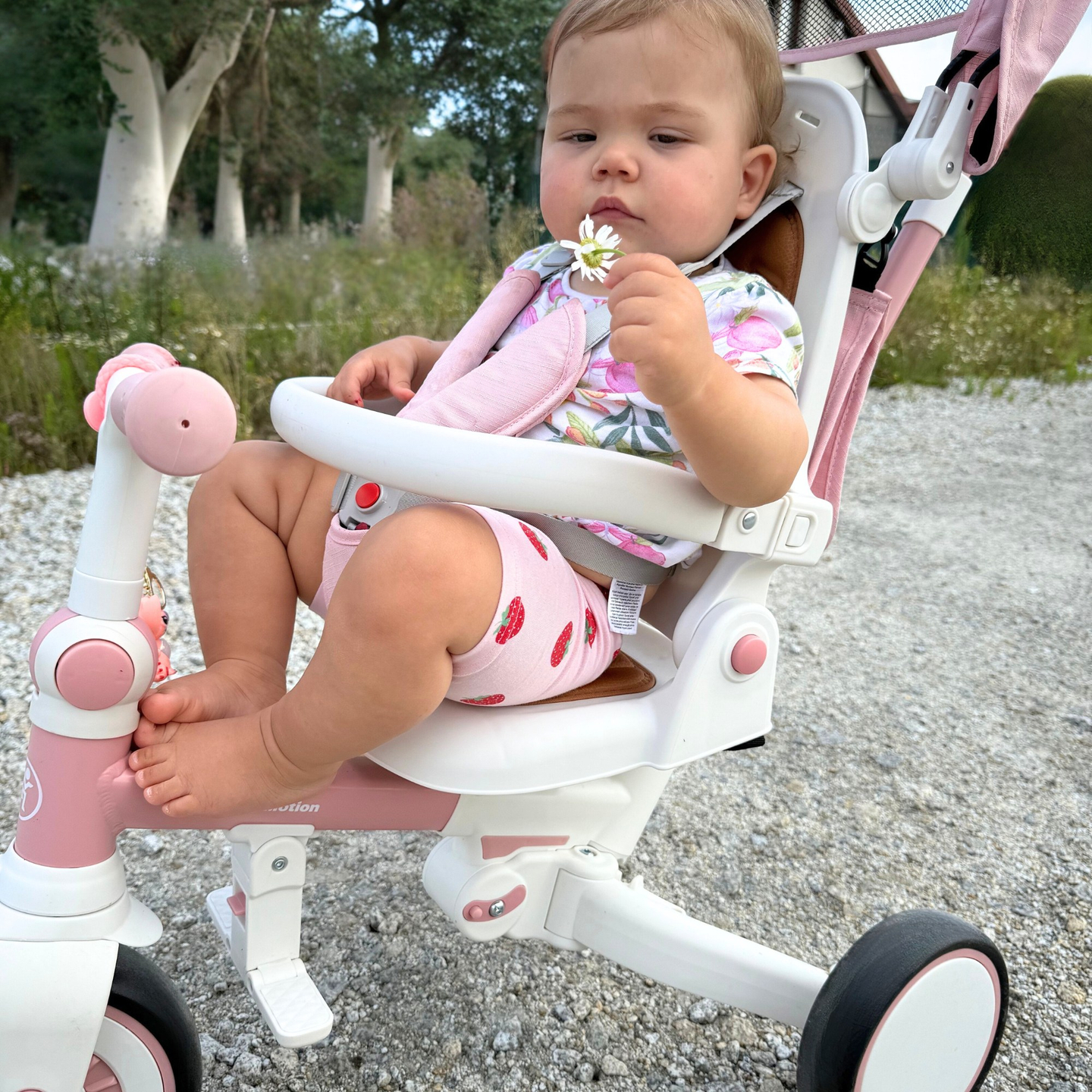 8en1 triciclo multifuncional TOBI FOREST - rosa