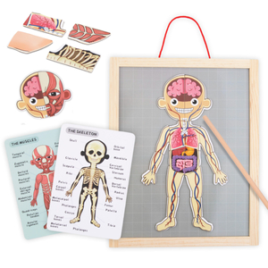 Puzzles magnéticos - Aprendiendo anatomía - Cuerpo humano