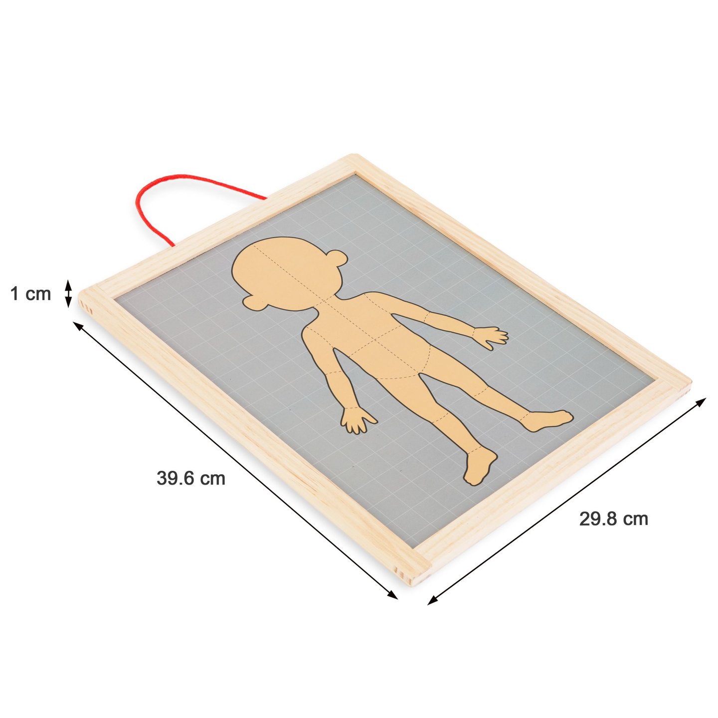 Puzzles magnéticos - Aprendiendo anatomía - Cuerpo humano