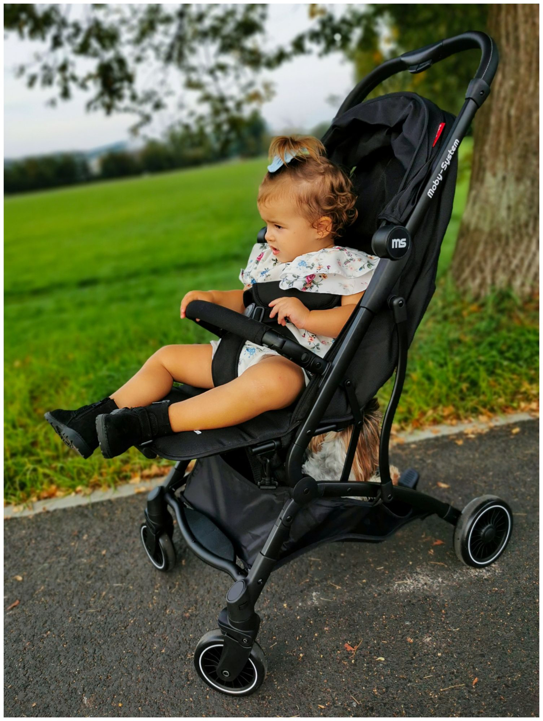 Cochecito Moby-System LENA