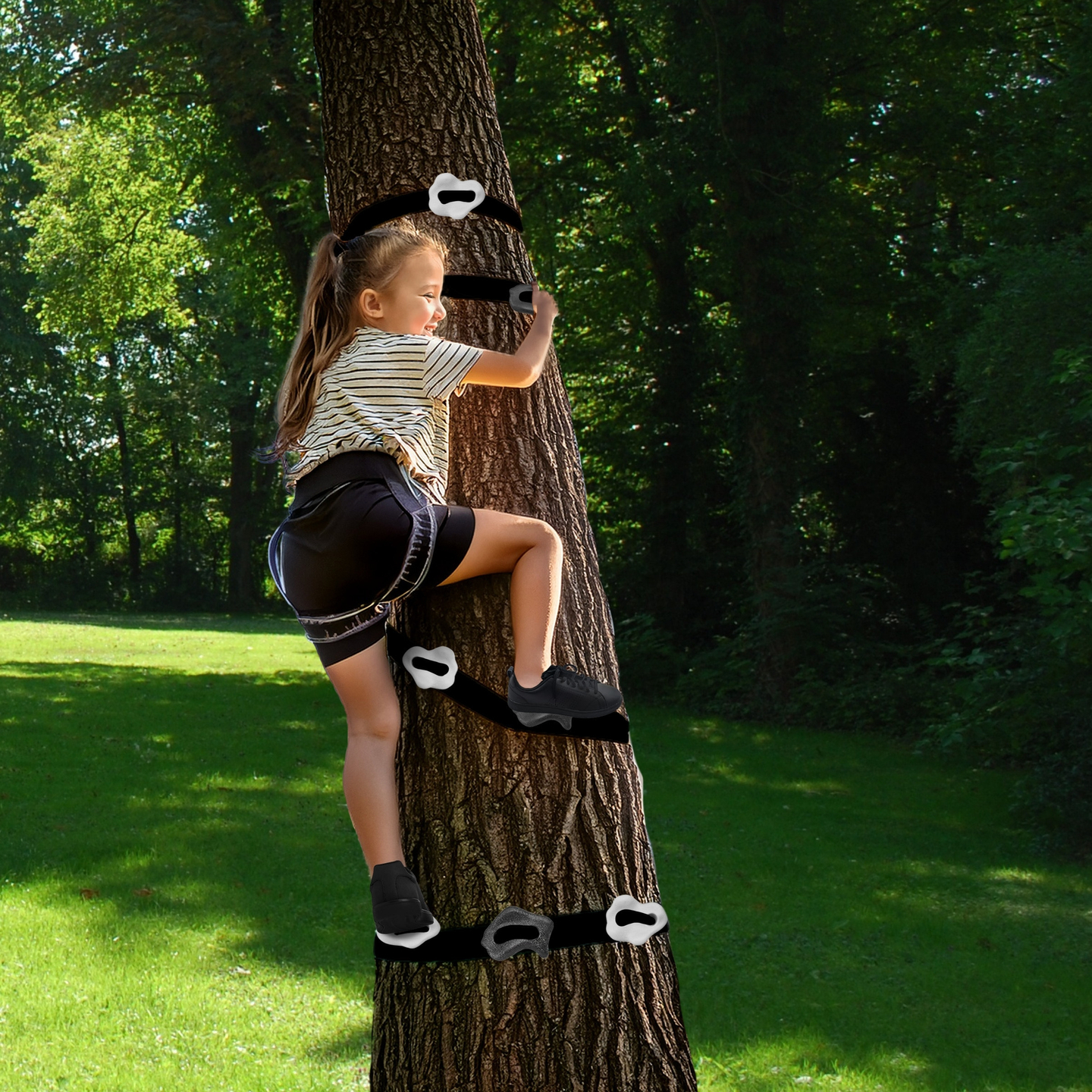 Kit de trepa de árboles HyperMotion - 18 artículos