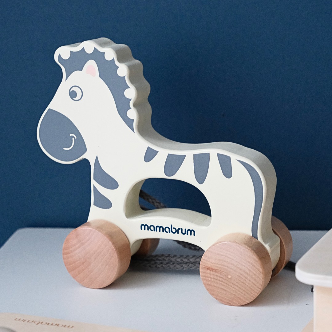 Set de juguetes Montessori para bebé de 19-24 meses