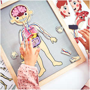 Puzzles magnéticos - Aprendiendo anatomía - Cuerpo humano